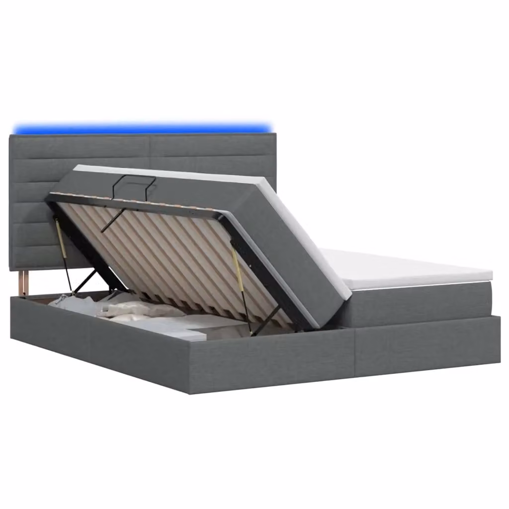 Letto con contenitore e illuminazione LED vidaXL, Grigio, L/P/H: 200 x 200 x 34 cm – 2
