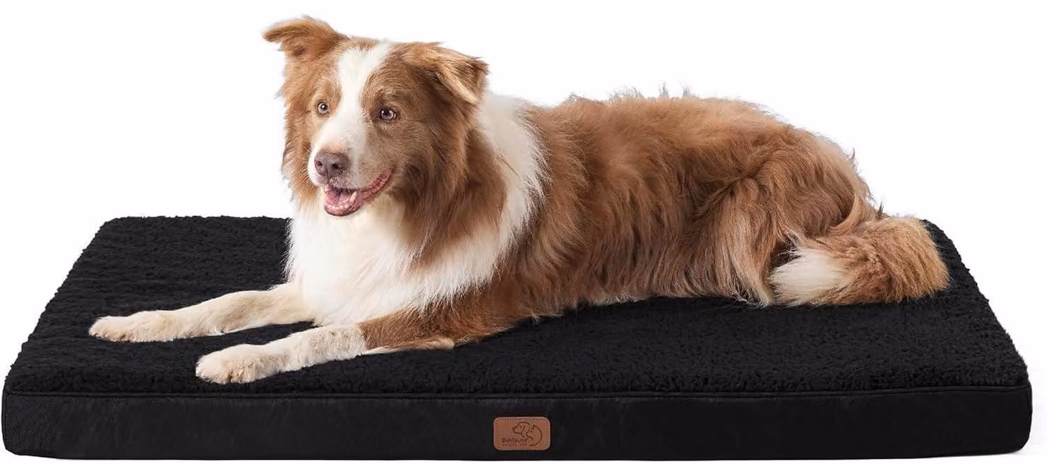 Cuccia ortopedica per cani, dimensioni 112x81x8 cm, colore nero, lavabile, adatta a cani di grossa taglia
