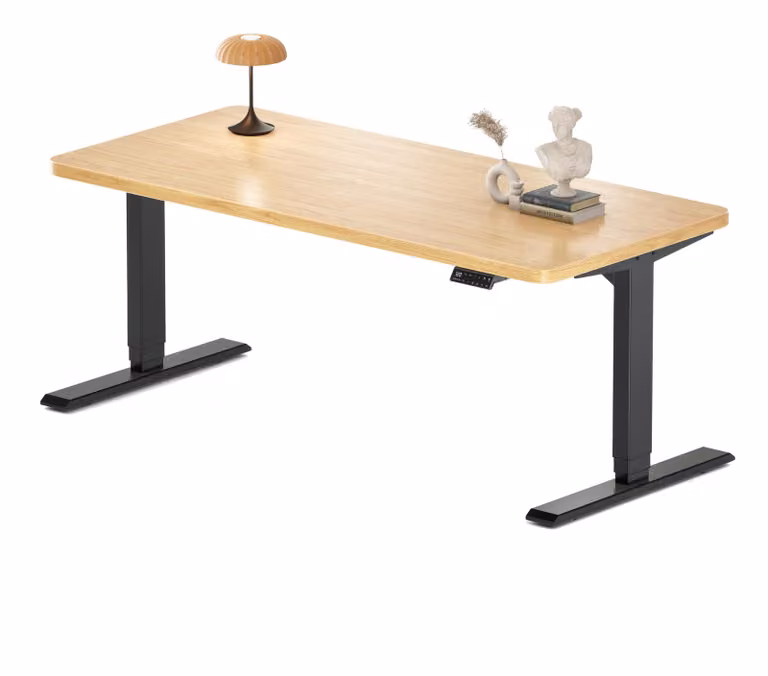 Scrivania regolabile in altezza, elettrica, dimensioni 160 x 80 cm, con struttura in metallo e memoria posizioni, colore nero