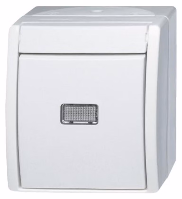 Commutatore Busch-Jaeger 2601/6 WGL-54