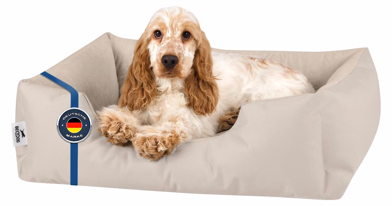Lettino per cani BedDog ZARA: cuscino per cani con rivestimento lavabile, cuccia per cani, divanetto per cani, LIGHT-SAND (beige chiaro), (M) ca. 70x55x18 cm