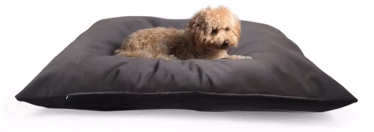Cuscino per cani, 60 x 100 cm - Cuccia morbida - Copertura rimovibile e lavabile - Idrorepellente - Antiscivolo - Confortevole e resistente - Letto per animali