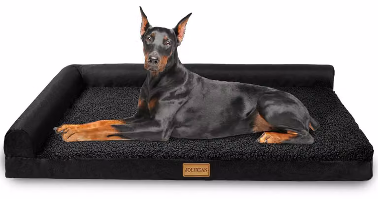 Cuccia ortopedica per cani, dimensioni L, 142x101 cm, colore nero, con rivestimento removibile