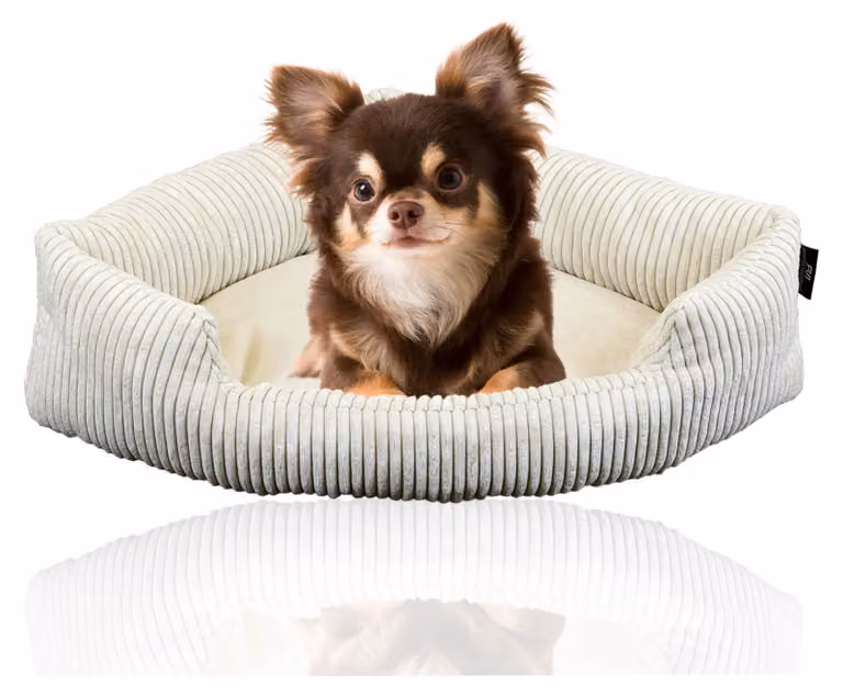 Taglierina per tubi XXL Cuccia angolare per cani di grossa taglia | Morbida coperta per cani in velluto a coste | Cuccia grande per cani di grossa taglia o 2 cani | Cuscino per cani in velluto a coste di grandi dimensioni, misura: misura 1