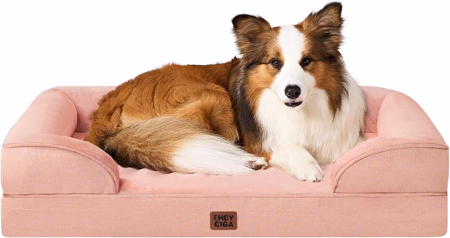 Cuccia ortopedica per cani di grossa taglia, cuccia in memory foam per cani di taglia media, lavabile, divano per cani, impermeabile, antiscivolo
