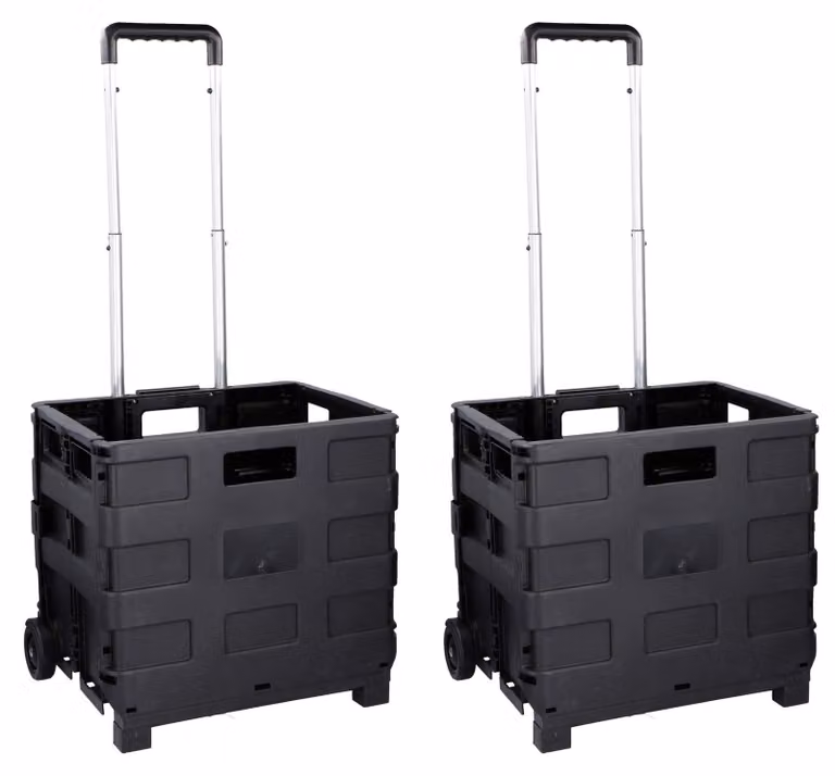 Carrello trasportabile pieghevole per un trasporto facile