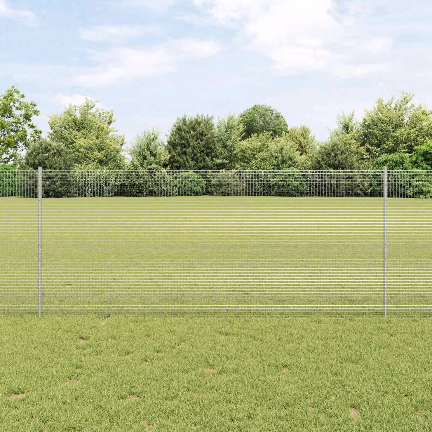Maison Exclusive - Recinzione con Posto Argento 1 x 25 m Acciaio