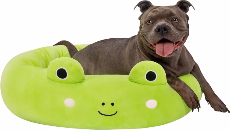 Cuccia per Animali Squishmallows Wendy La Rana, 75 Cm