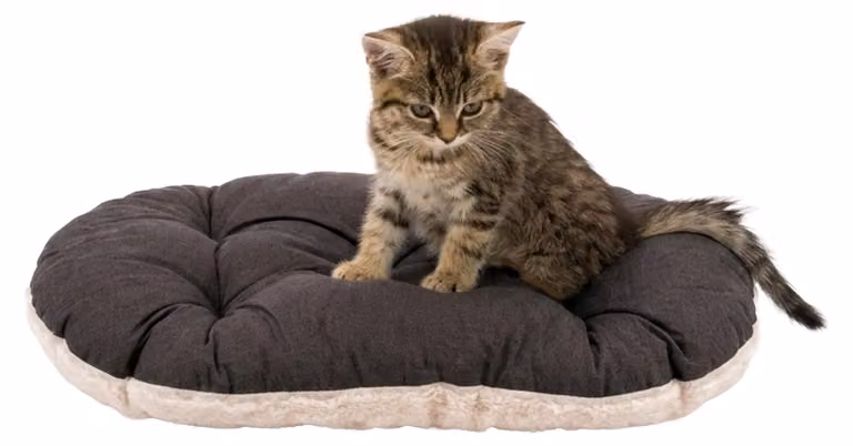 Ferplast cuscino animale Relax 43 x 30 cm cotone/viola-marrone