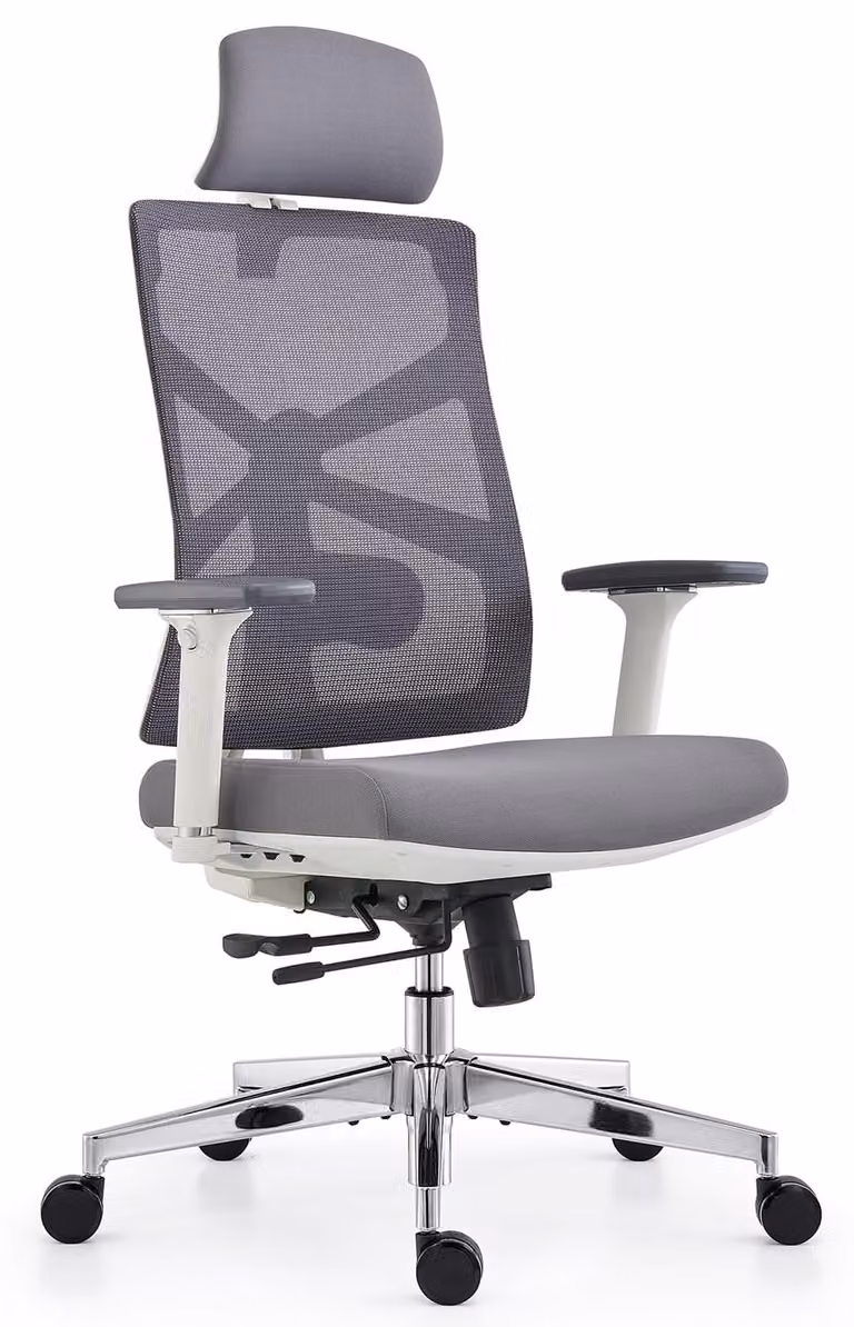 Sedia da ufficio ergonomica - Schienale alto - Bianco - Profondità seduta e supporto lombare regolabili - Bracciioli 4D