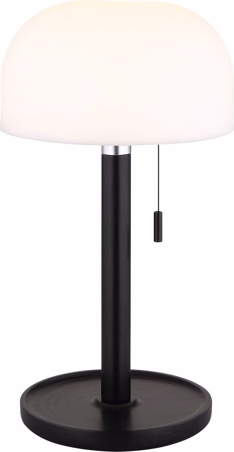 Lampada da tavolo senza fili con batteria ricaricabile Touch Dimmer Lampada da tavolo dimmerabile Nero 21016S