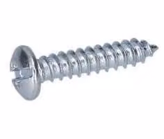 Vite a testa bombata Torx per Martelli perforatori BOSCH PROFESSIONAL - 1613435010
