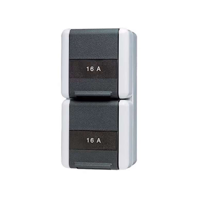 Presa di corrente Jung SCHUKO, 2-gang 16A 250V 822 NAW