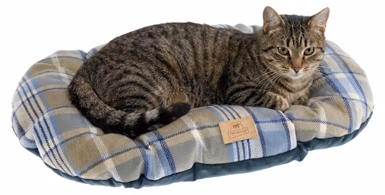 Ferplast Cuscino imbottito per cani e gatti SCOTT 55/4, motivo scozzese, lavabile, blu