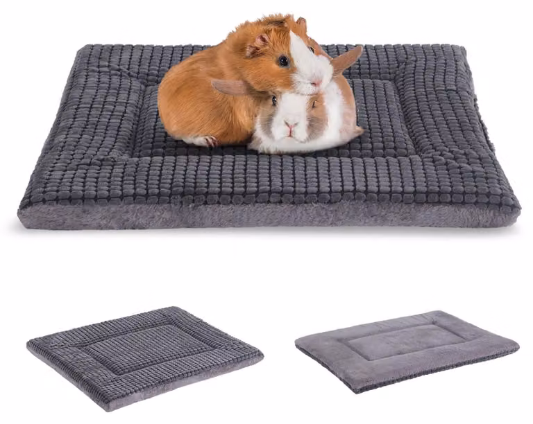 Cuccia ortopedica per cani con cuscino lavabile
