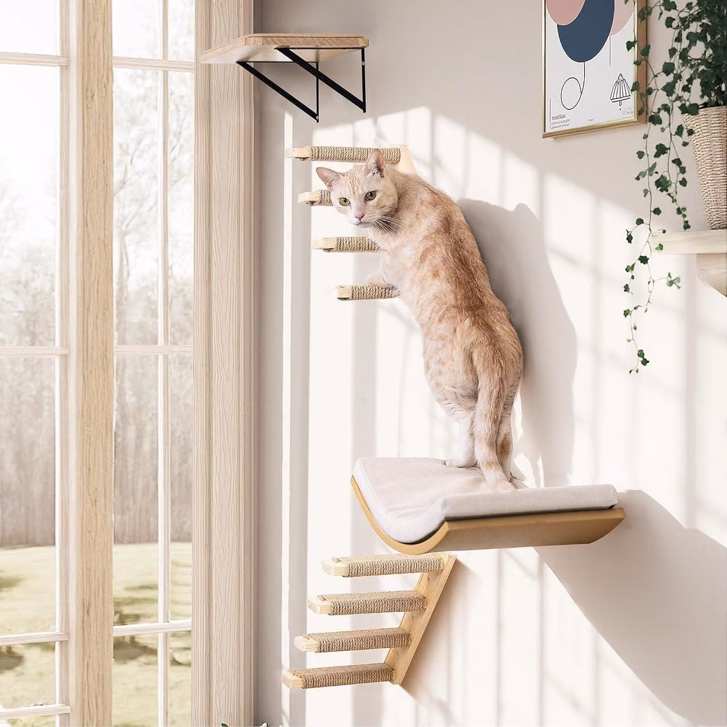 Mensole a muro per gatti con scalette in sisal, set da 4 pezzi, in legno, per il divertimento e l'arrampicata