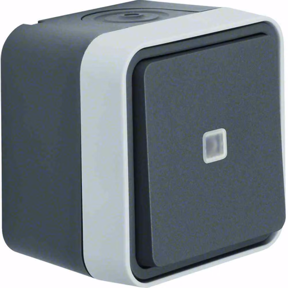 Commutatore Berker illuminato grigio chiaro 30763525