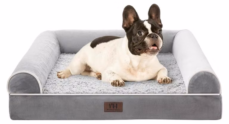 Cuccia ortopedica per cani, colore grigio, dimensioni: lunghezza 71 cm, larghezza 58 cm, altezza 16 cm. Impermeabile e lavabile