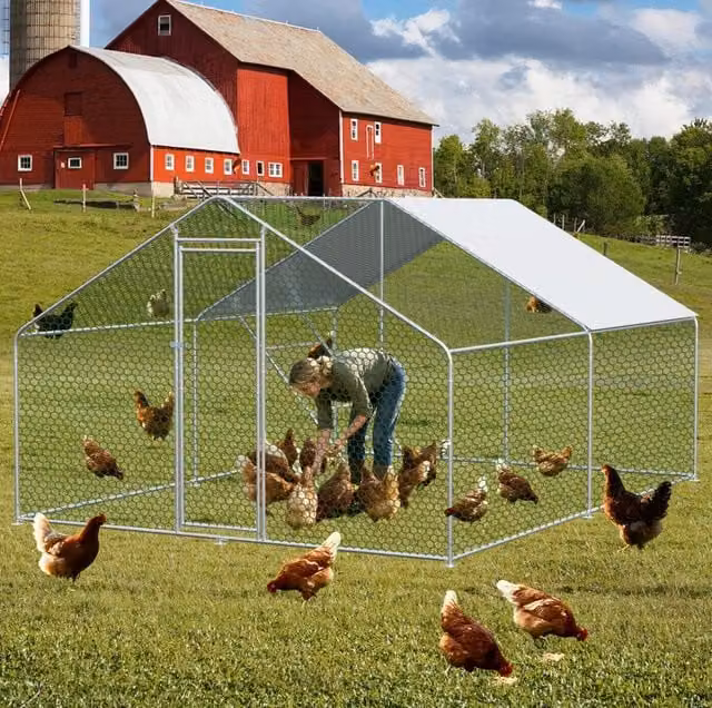 Recinto Protetto per Animali 3x4x2m con Chiusura di Sicurezza e Telo PE Impermeabile, Gabbia in Metallo per Polli, Conigli e Piccoli Animali