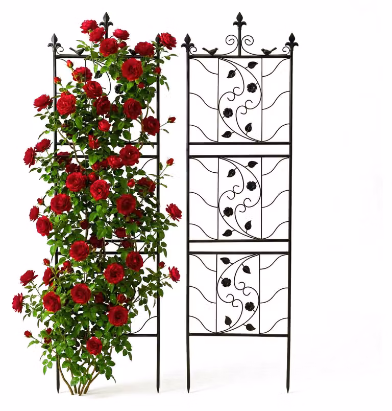 Elzusha - Set di 2 scaffali per piante da esterno