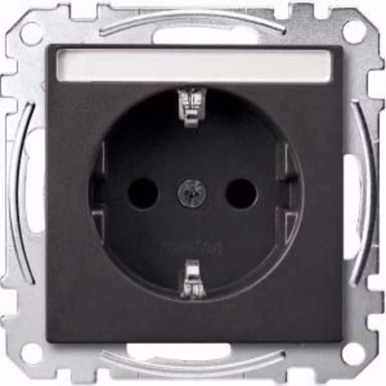 Presa SCHUKO con etichetta, BRS, morsetti a innesto, antracite, Sistema M