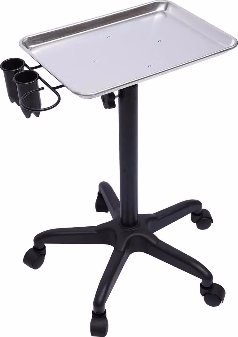 Carrello da salone - Salterrorry - Alluminio - Portastrumenti - Con rotelle - Per parrucchieri, tatuatori, uso medico - Montaggio richiesto - Argento
