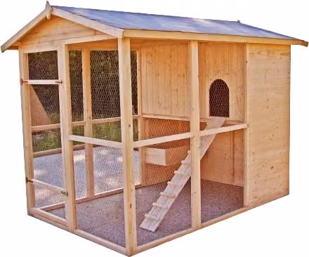 Pollaio da giardino XXL Foresta in legno marrone con voliera integrata per 6-10 galline L: 268 cm, P: 175 cm