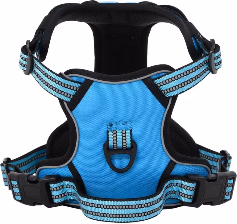 Pettorina per Cani con Guinzaglio e Collare Regolabile Blu L