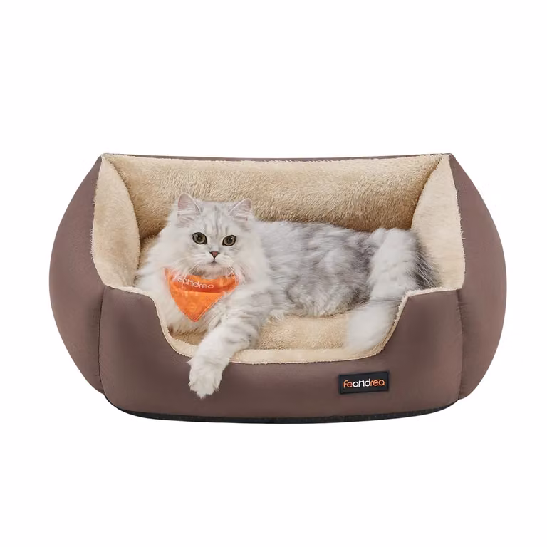 Cuccia per Cane Lavabile in Peluche, Marrone Caffè + Beige Sabbia / L 60 x P 50 x H 20 cm