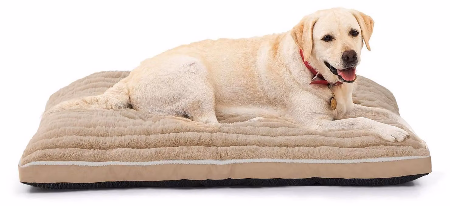 Cuccia per cani di grossa taglia, tappetino per cani lavabile, dimensioni 106 x 70 x 7 cm, colore beige