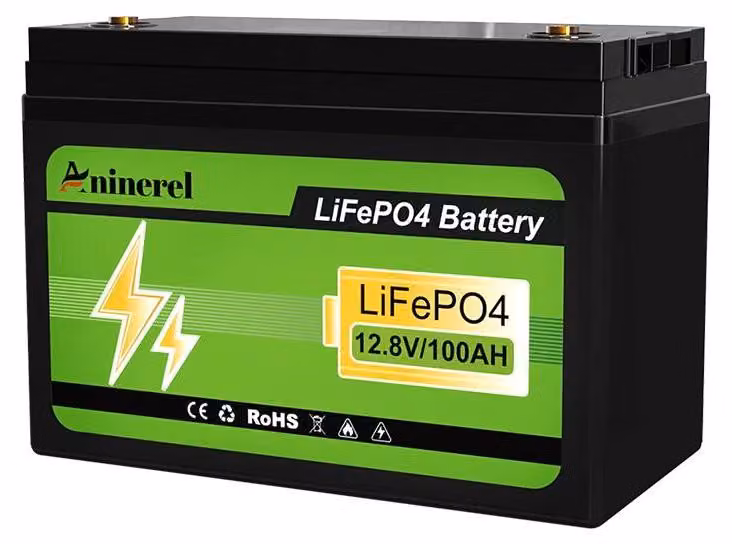 Batteria solare, capacità 100 Ah, BMS integrato, 12 V 100 Ah