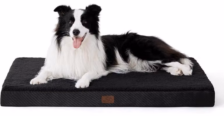 Cuccia ortopedica per cani, 91x69x8 cm, nera, lavabile, adatta a cani di grossa taglia