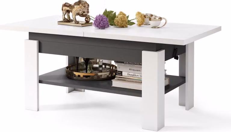 Tavolino All4All Rino, tavolino da caffè, tavolino da salotto con ripiano, tavolino da divano, allungabile fino a 170 cm, regolabile in altezza, 130x65 cm, 05, bianco + antracite