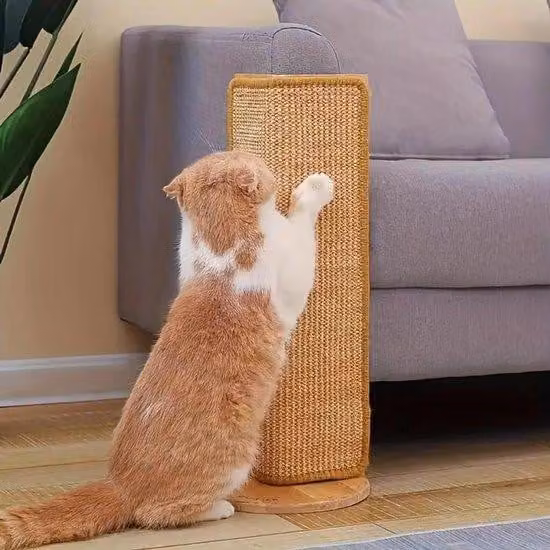 Cuccia per gatti in cartone - Design accattivante e robusto - Protezione dai graffi - Cuccia o tappetino per gatti - Accessorio ideale per la cura del gatto