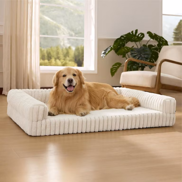 Cuccia ortopedica per cani di grossa taglia, dimensioni 122x89x20 cm, colore crema