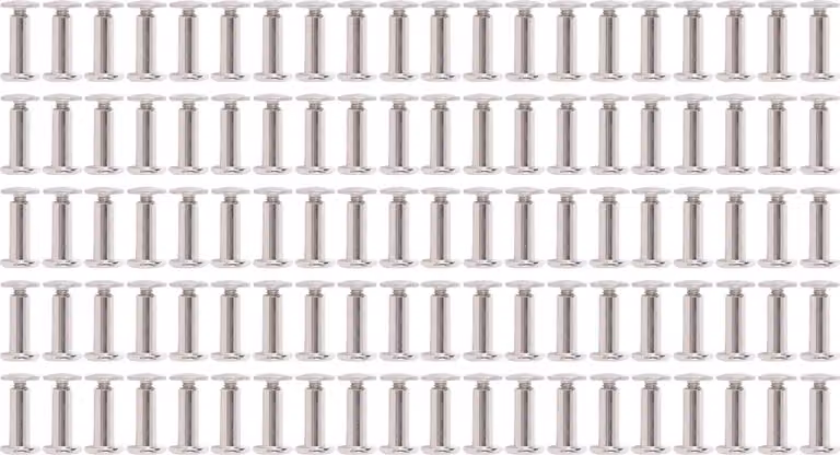 100 set Rivetti e viti in acciaio inox M2.5 piatto testa rotonda Bolde Fastenel Set per artigianato in pelle Corates 3.5x10x7mm / 0.14x0.39x0.28in