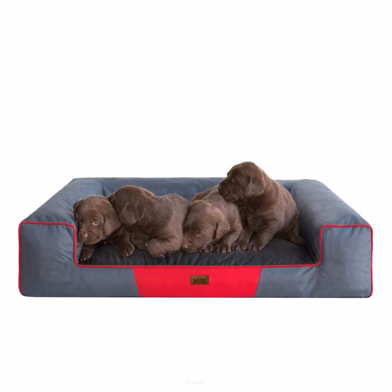 Cuscino per cani Cesto per cani Divano per cani domestici Lavabile - Victoria - 118 x 78 x 20 cm [taglia: XXL] - Grigio con nero