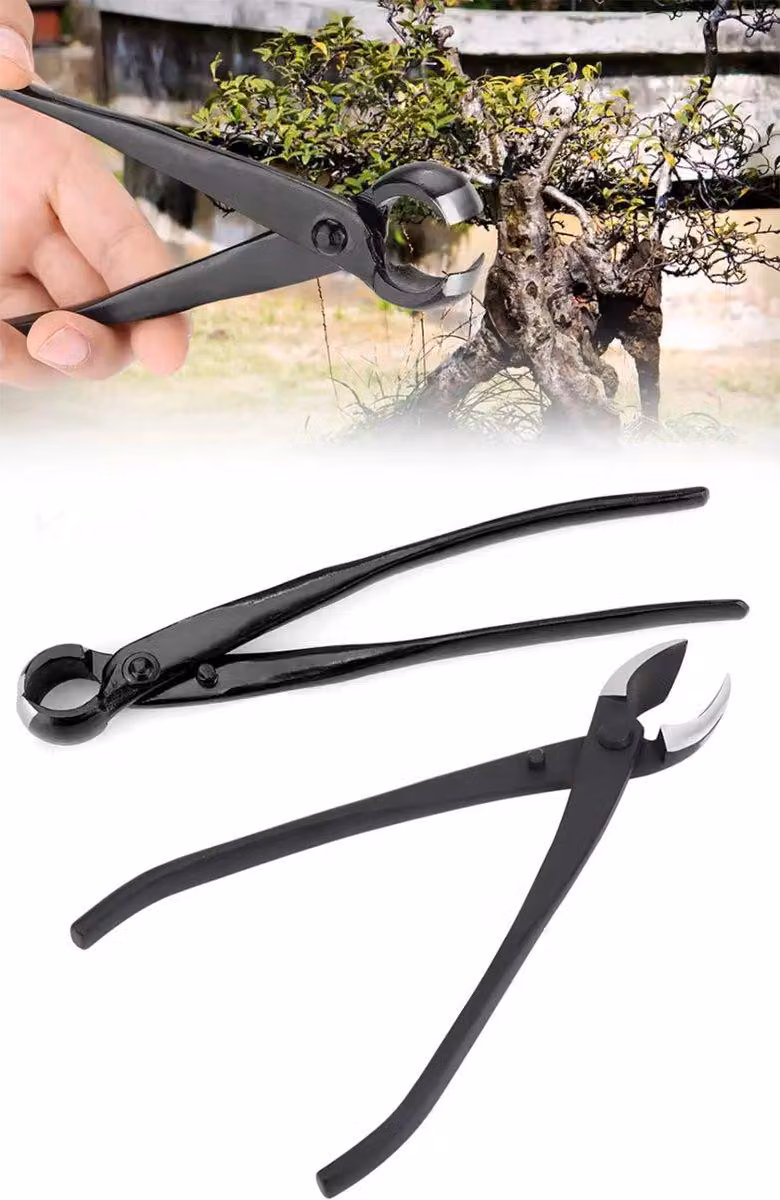 Bonsai-Zange – Forbici per bonsai – Set di strumenti per bonsai – Potatore per rami – Utensili da taglio – Forbici – 2 pezzi – Nere – Con custodia. CHPN