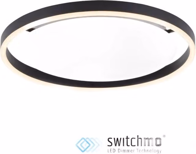 Plafoniera LED RITUS Paul Neuhaus moderna in metallo, luce bianca calda, diametro: 39,3 cm