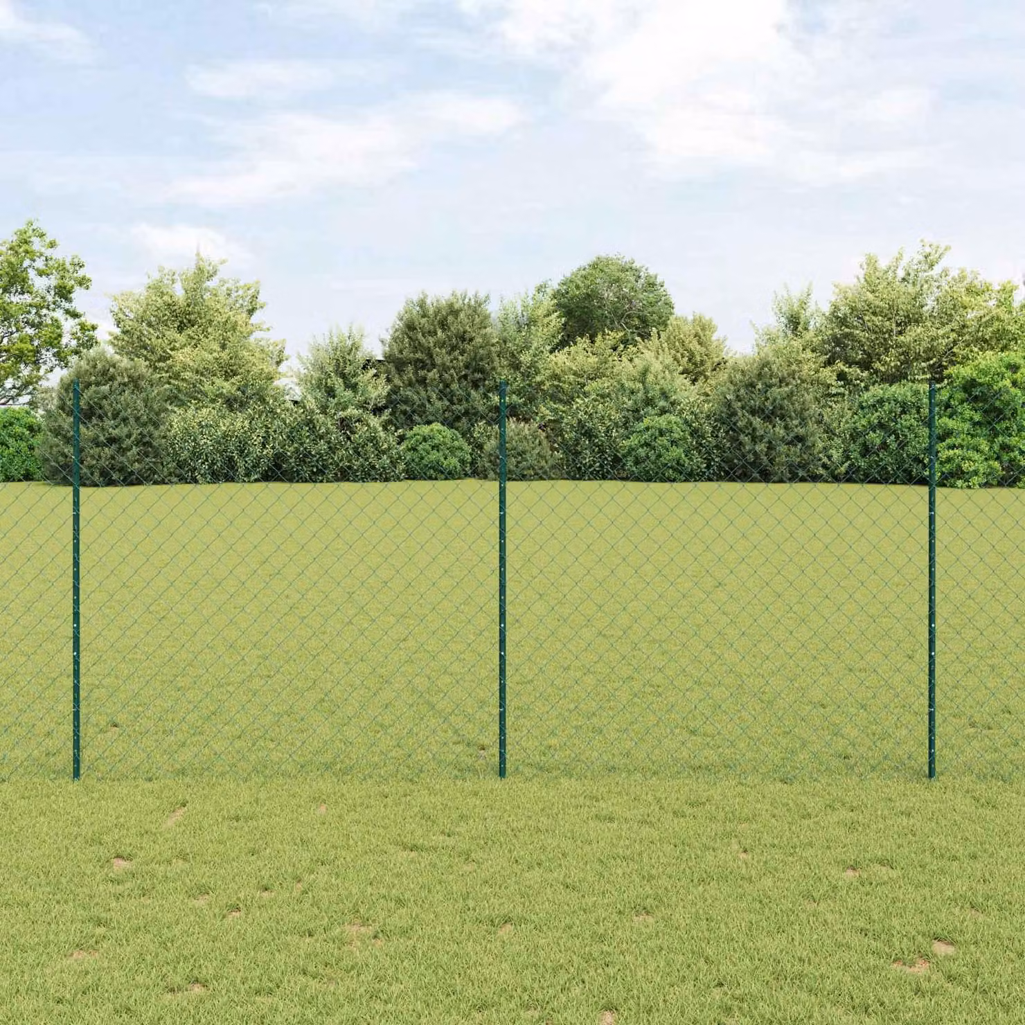Maison Exclusive - Recinzione con Posto Verde 1,4 x 10 m Acciaio e PVC
