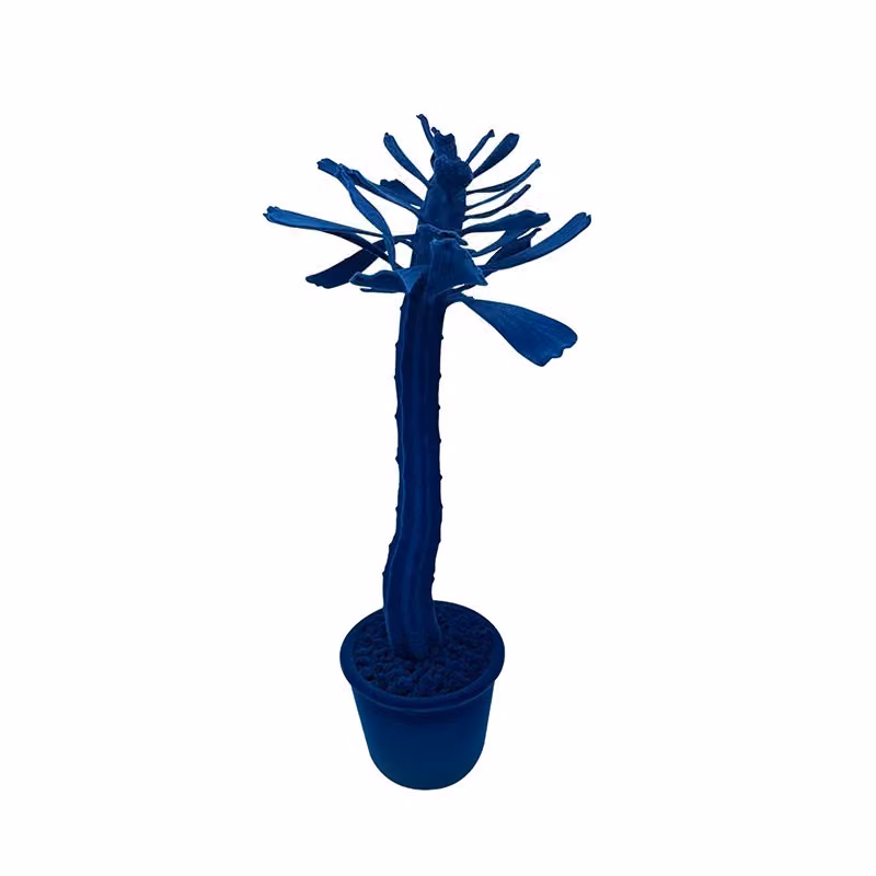 Complemento d'arredo Cactus Cloud Adriani e Rossi