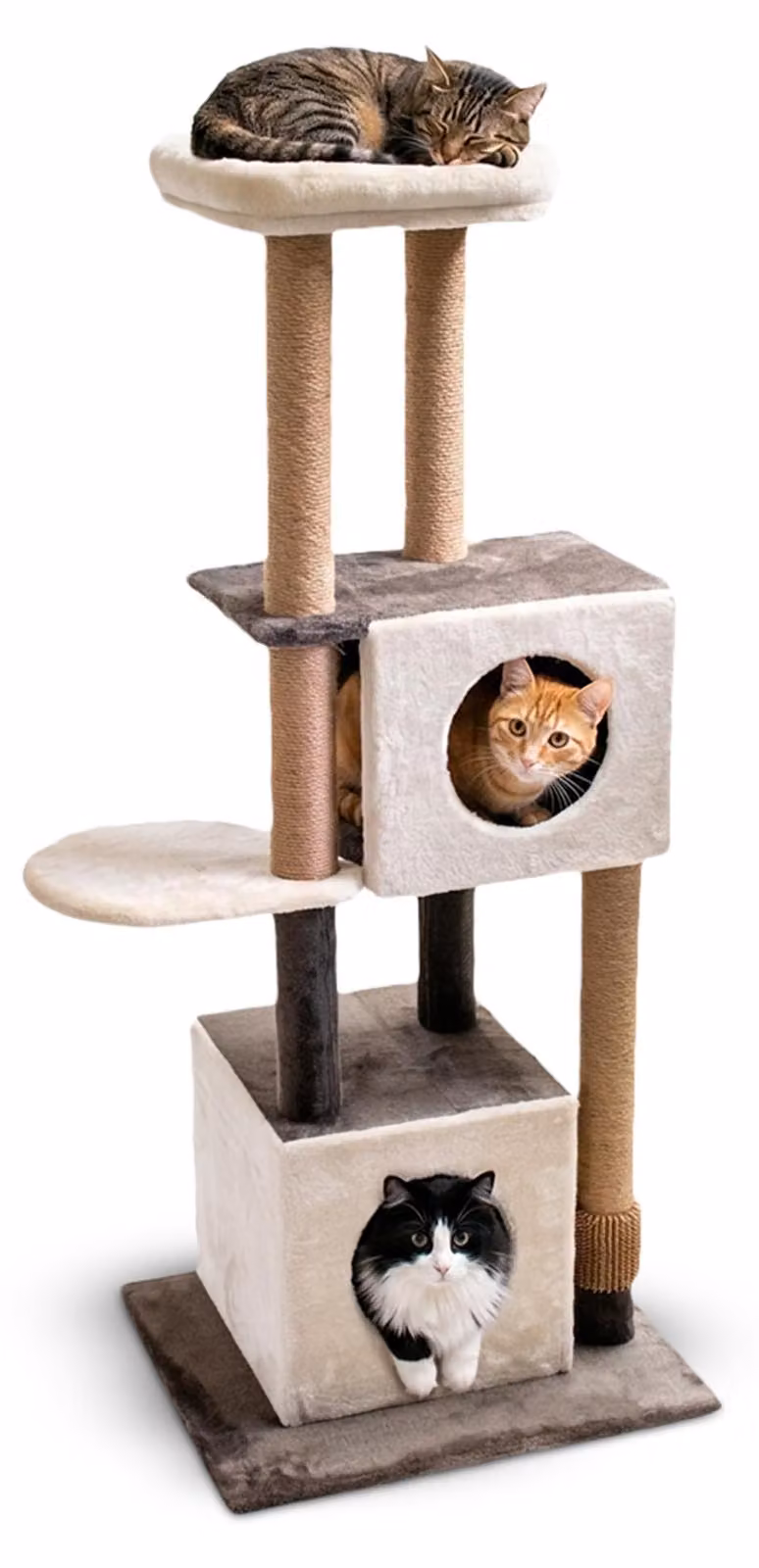 Aqpet Kratzbaum XXL, 140 cm, con corda di sisal, doppia cuccia e piattaforma per il massimo comfort