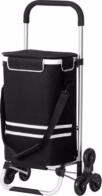 Carrello da Spesa Ripiegabile con Rampino e Compartimento Freddo - Grande Capacità 35 l - Nero