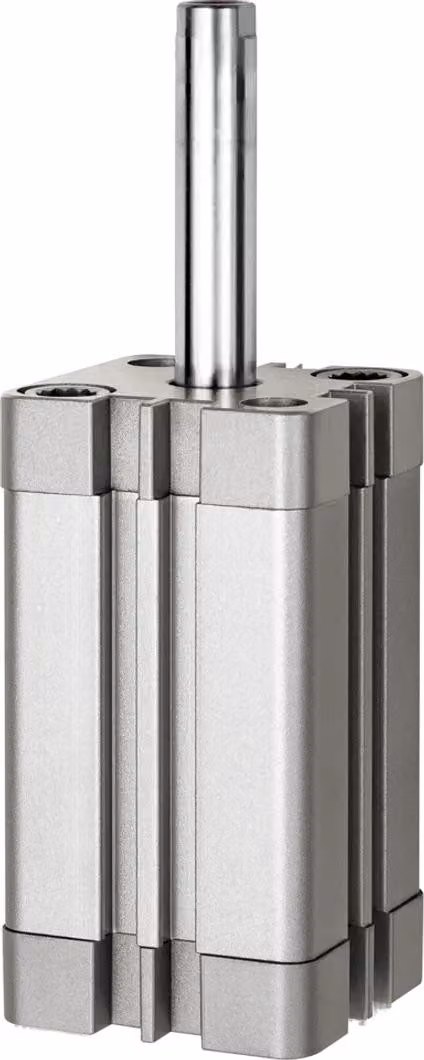 Cilindro compatto Riegler, a semplice effetto, filettatura interna, versione estesa, Ø 50, corsa 25, G1/8, ISO 21287
