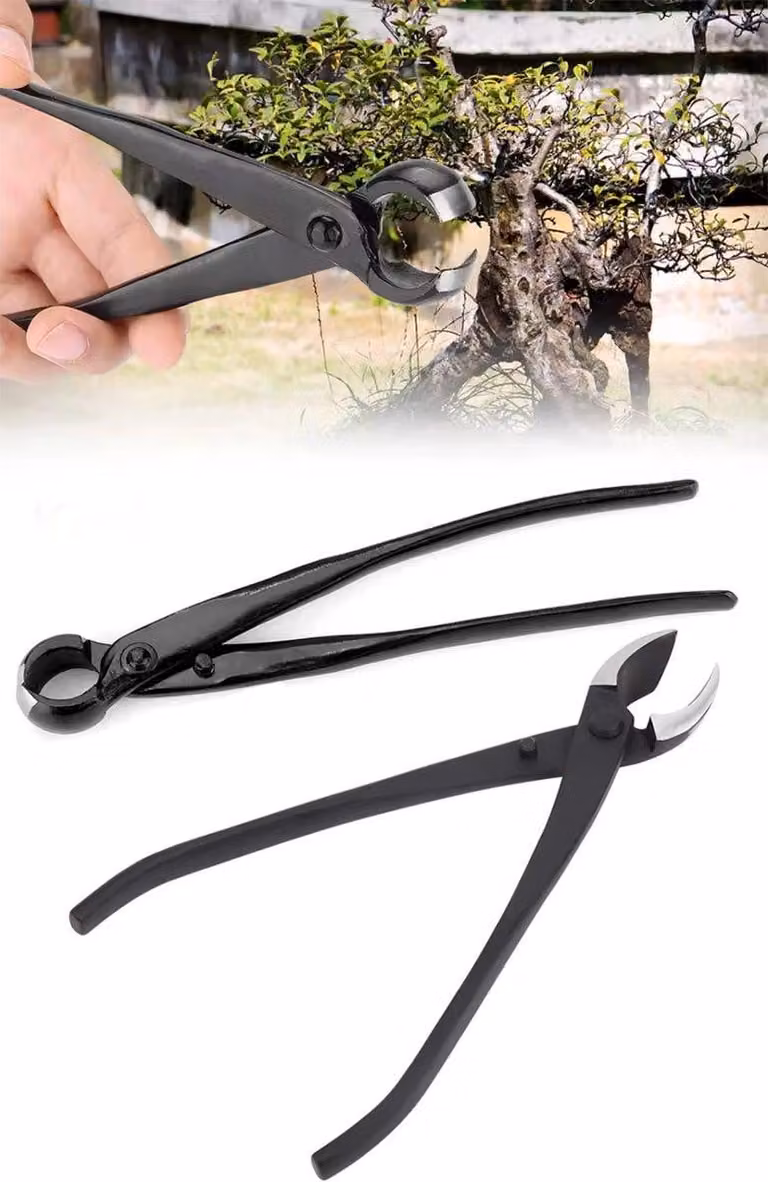 Bonsai-Zange – Forbici per bonsai – Set di strumenti per bonsai – Potatore per rami – Utensili da taglio – Forbici – 2 pezzi – Nere – Con custodia. CHPN