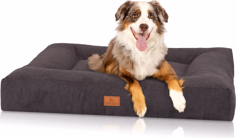 Letto ortopedico per cani Sofia XXL Nero