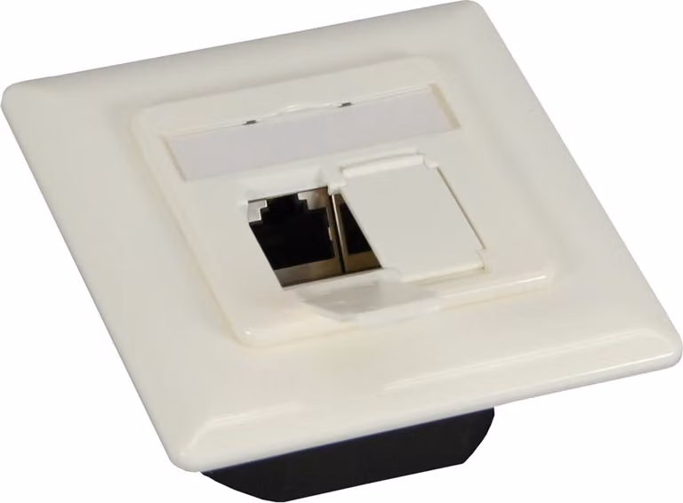 Scatola di connessione da incasso InLine® Cat.6, 2x presa RJ45, bianco RAL9010, orizzontale