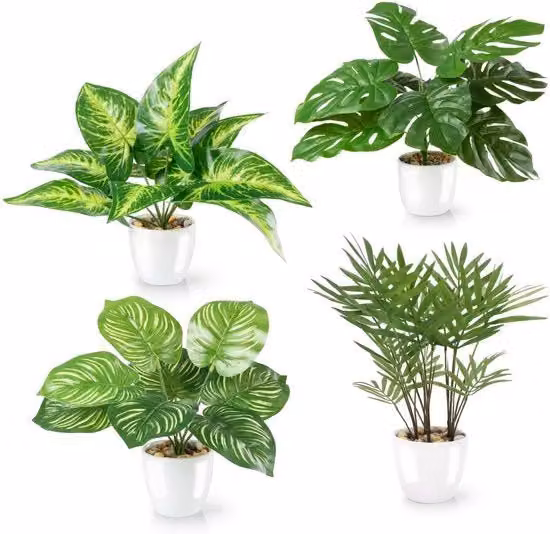 Set di 4 piante artificiali tropicali PASCH con vasi in ceramica bianca, Monstera e Areca palm, Altezza: 25 cm