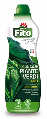 Concime Piante Verdi Plus Liquido Kg 1        Fito