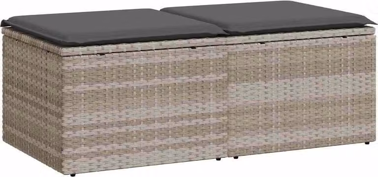 Divano Giardino 2pz con Cuscini Grigio Chiaro Polyrattan Acacia